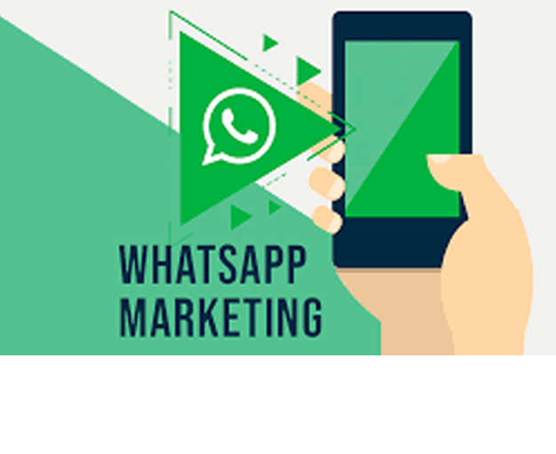 Digital Marketing in Delhi